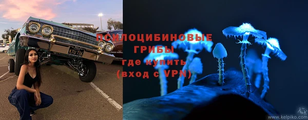 СК Ельня